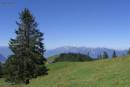 Blick über den Alpwegkopf und das Vorarlberger Rheintal zu den schweizer Bergen